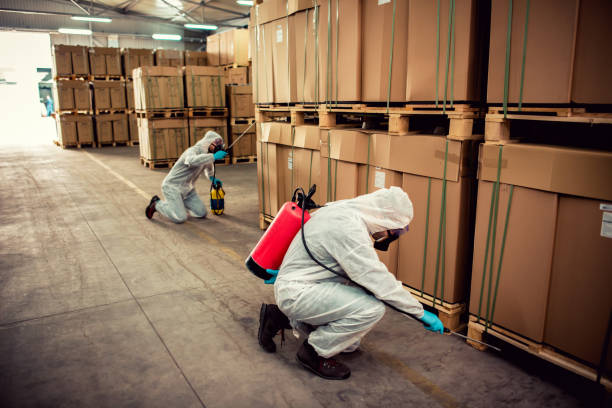 Professional Pest Control in St Petersburg, FL