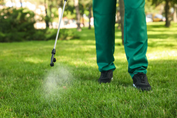 Best Wildlife Control Services  in St Petersburg, FL