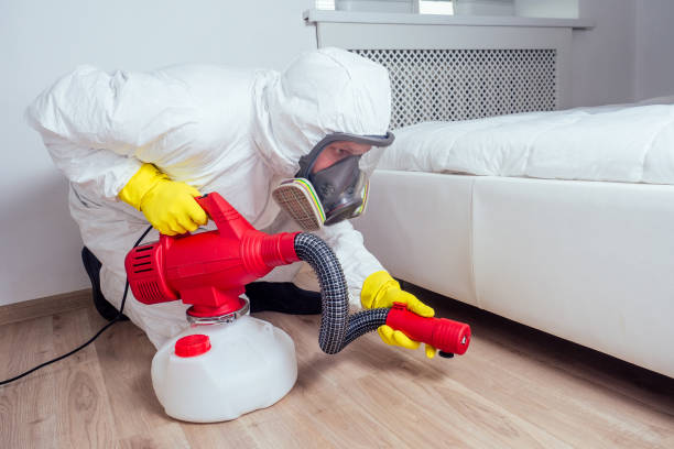 Best Rat Extermination Near Me  in St Petersburg, FL