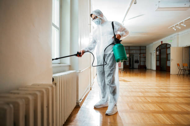 Best Affordable Pest Control Services  in St Petersburg, FL