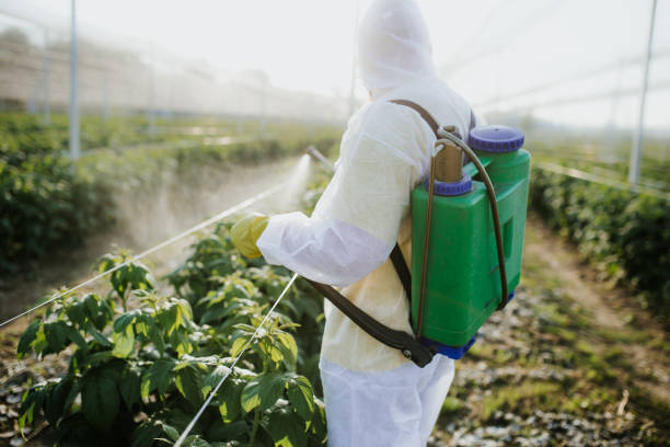 Best Pest Control Near Me  in St Petersburg, FL